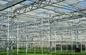 65% Rumah Kaca Hortikultura Naungan Jaring Kain Naungan Layar hemat energi rumah kaca greenhouse