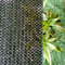 Green Anti Uv HDPE Sun Shade Net Untuk Tanaman Taman Rumah Balkon