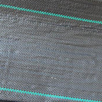 3m Wide Landscaping Industrial Grade Weed Anyaman 3x 50 Untuk Kebun Sayur