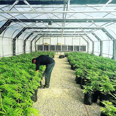 60% Outdoor Patio Plastic Agri Shade Netting Untuk Kebun Sayur