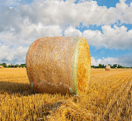 8.33GSM Bale Net Bungkus Plastik Anti UV Dengan Garis Peringatan